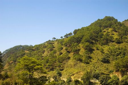 Mountain Road in Sagada, Philippinesの写真素材