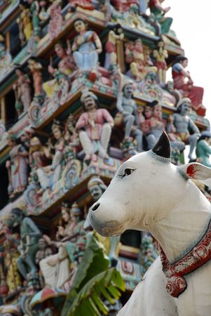Singapore's oldest Hindu temple -- Sri Mariammam Templeの写真素材