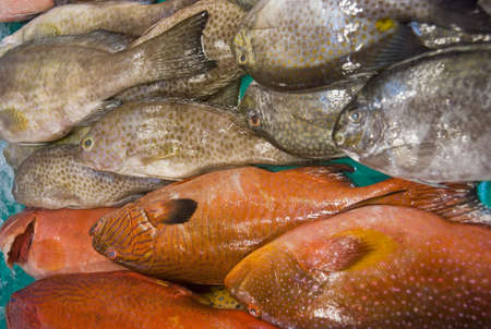 Various sea fish in Philippine wet marketの写真素材