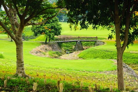 Bridges in a beautiful golf course in the Philippinesの写真素材