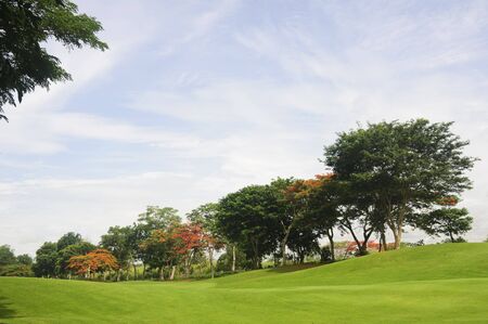 Line of trees in a golf course in the Philippinesの写真素材