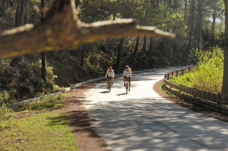 SAGADA, MT. PROVINCE, PHILS. - APRIL 2: Unidentified mountain bikers ride uphill towards the municipality of Sagada, Mountain Province, Philippines on April 2, 2007 during a "Bike for a Cause" expedition.のeditorial素材