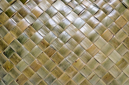 Native woven bag made from indigenous materials