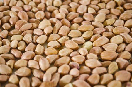 Close up of fresh, raw peanuts