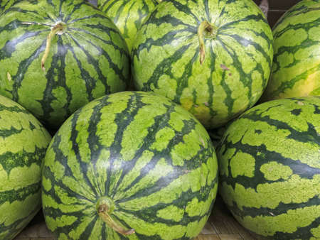Close up of whole watermelons for sale in fruit market の写真素材