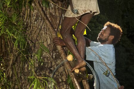 Father and son Agta working in the forest of Sierra Madre forest in the Philippinesのeditorial素材