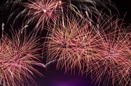 Fireworks dispaly during the New Year