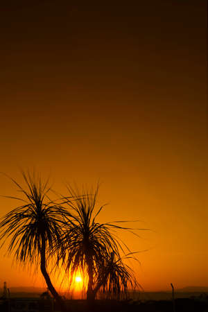 Sunrise in a luxurious vacation resort hotel  Philippinesの写真素材