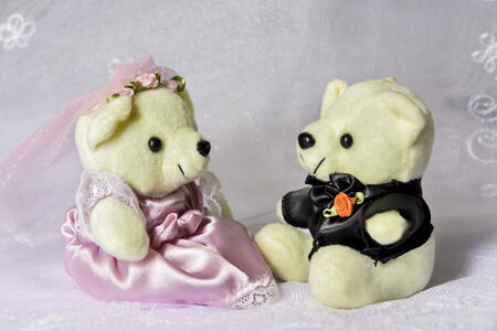 Closeup of small bride and groom bearの写真素材
