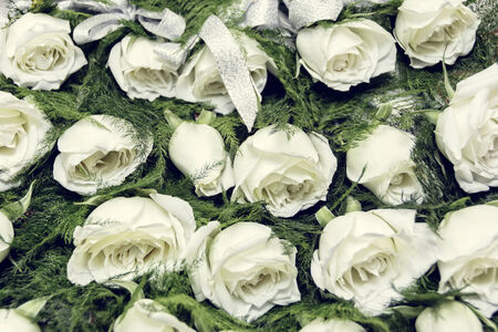 Rows of white rose boutonniere for wedding entourageの写真素材