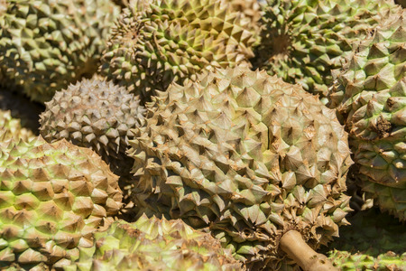 Spiky and smelly Philippines Durian for sale in a local marketの写真素材