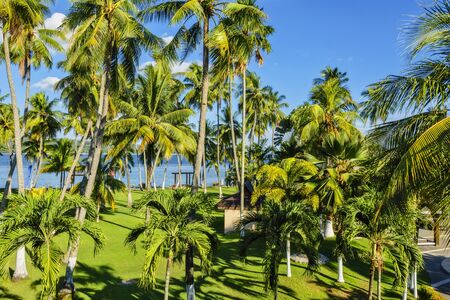 Philippines garden resort, South of the Philippinesの写真素材