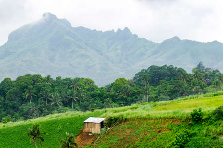 Makeshift hut in a tropical mountainの写真素材
