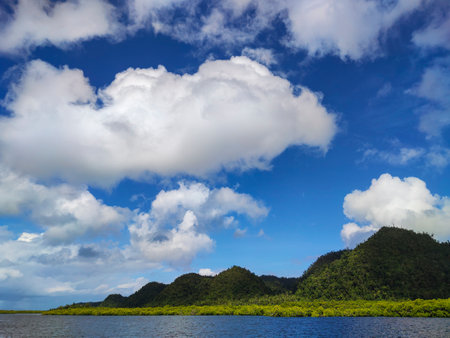 Mangrove forest and blue sky with white clouds in the backgroundの写真素材