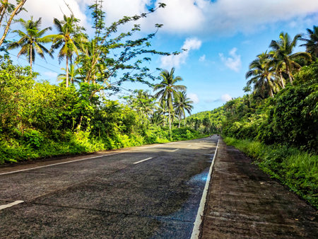 Asphalt road through tropical forest with palm trees and blue sky.の写真素材