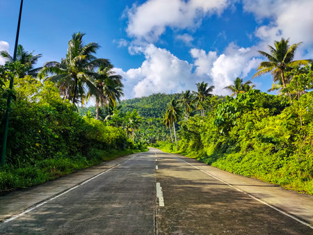 Scenic view of the road through the tropical forest on a sunny day.の写真素材