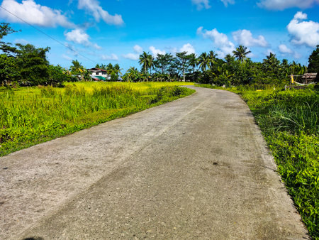 Road in rice field with blue sky and white clouds, Siargao, Philippinesの写真素材