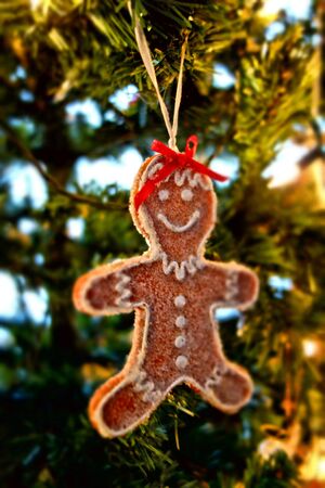The Gingerbread  Manの写真素材