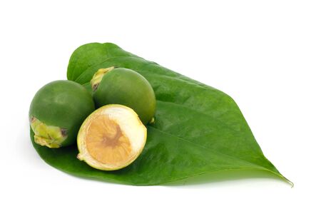 Betel nut and leaves on a white background.の写真素材