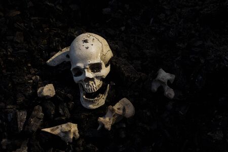 Skull and bones digged from pit in the scary graveyard which has dim lightの写真素材