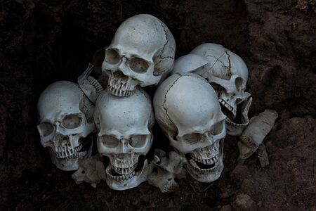 The human skull and pile of bones on black background, Halloween nightの写真素材