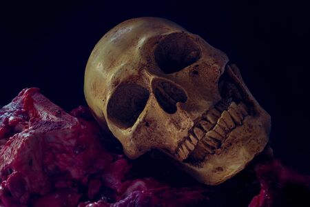 Skull and raw meat with blood in mouth, Still life styleの写真素材