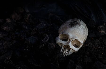 Skull and bones digged from pit in the scary graveyard  / Still life and art imageの写真素材