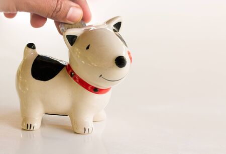 Saving, male hand putting a coin into piggy bank.の写真素材