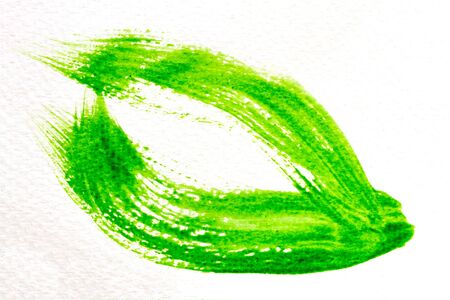 green stroke of the paint brush on white paperの写真素材