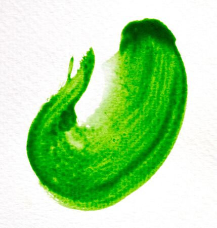 green stroke of the paint brush on white paperの写真素材