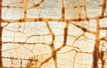 Old grungy cracked weathered wall paint peeling off rusted metal sheet. Textured background for posters and bloggersの写真素材