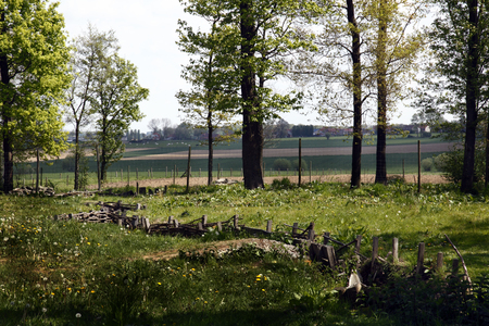 The World War One German 'Bayernwald' trench system near Ypres in Belgium. Many of the trenches have been restoredのeditorial素材