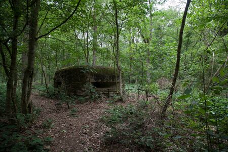 A First World War bunker in Ploegsteert Wood in Belgiumのeditorial素材