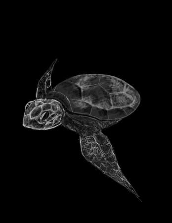 deep sea turtle illustration, great for product designのイラスト素材