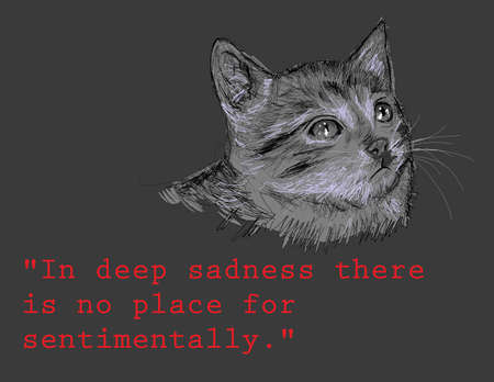 Pet illustrations with motivational snippets are great for product designのイラスト素材