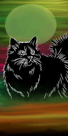 cat and moon illustration very nice for product designのイラスト素材