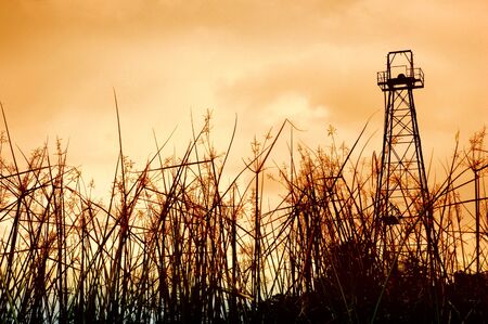 old oil tower and the foreground grassの写真素材