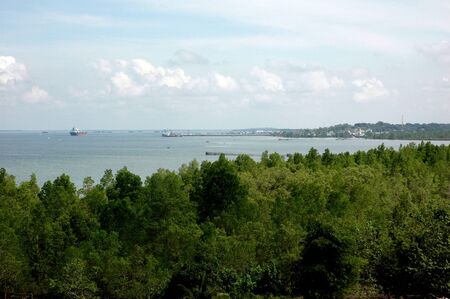 views of the sea and mangrove from the top of the hillの写真素材