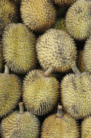 Elai - tropical fruits like durian fruit, with smaller size and yellow tropical fruit that is found...