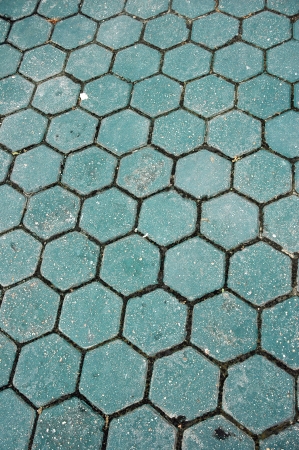 honeycomb pattern of the green paving blocksの写真素材