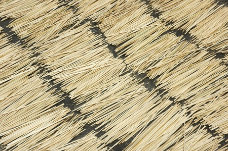 pieces of bamboo sticksの写真素材