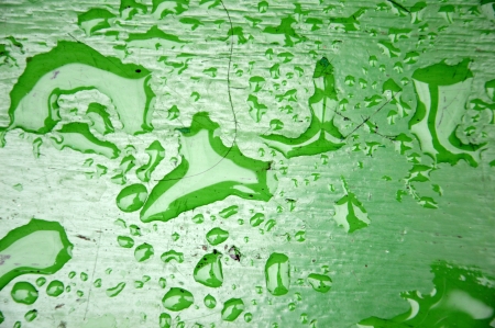 rain puddles on green boardの写真素材