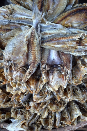 patterns of dried fish background      の写真素材