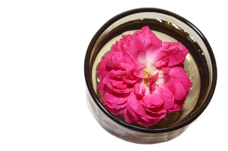 petals at a glass isolated on white backgroundの写真素材