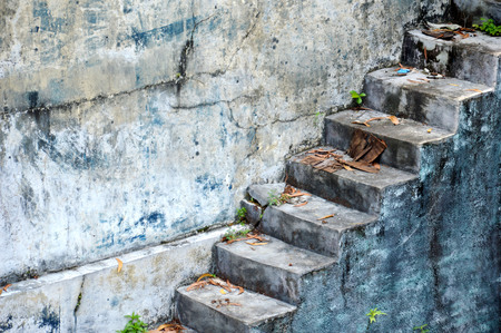 concrete stairs slick and mossyの写真素材