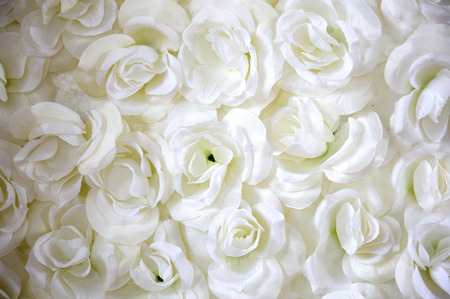 florals ornament backgroundの写真素材