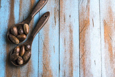nutmeg on the wooden spoon at blue wooden tableの写真素材