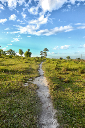 footpath on the hillの写真素材