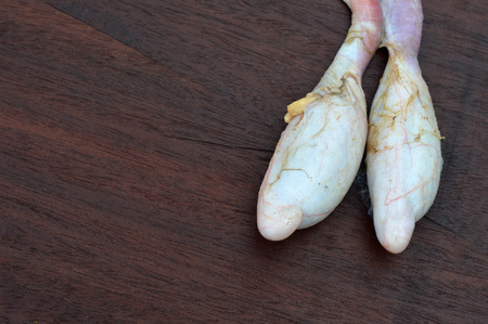 cow testis on the wood