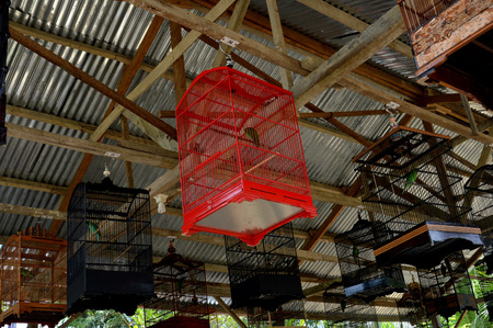 bird cage on the sound bird contestの写真素材